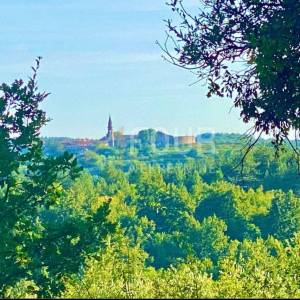 Istra, Cerovlje, zemljište 2.257m2 sa 6 ucrtanih ruševina