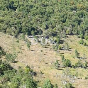ISTRA, ĆIĆARIJA - Poljoprivredno zemljište