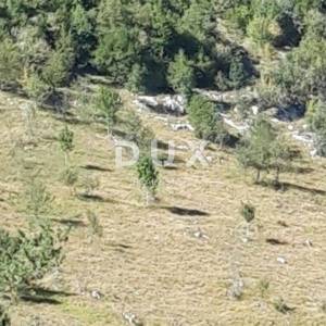 ISTRA, ĆIĆARIJA - Poljoprivredno zemljište