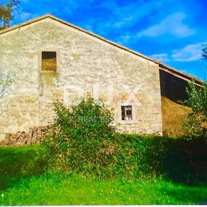 ISTRA, DRAGUĆ - dvije kuće + 3.265 m2 građevinskog zemljišta sa 6 ucrtanih kuća! PRILIKA!