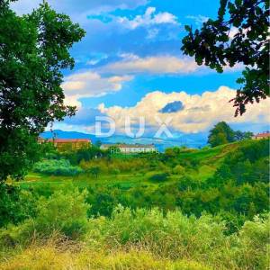 ISTRA, DRAGUĆ - kuća s velikom okućnicom! PRILIKA!