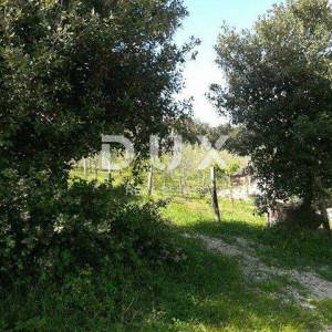ISTRA, DUGA LUKA- Ruševina udaljena 300m od mora