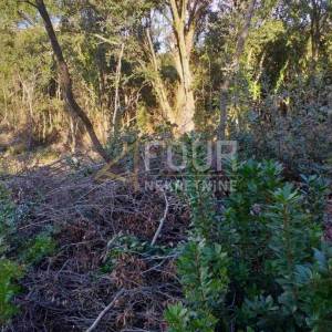 Istra, Duga Uvala, poljoprivredno zemljište, 2.042m2