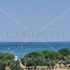 Istra, Fažana, ekskluzivna vila sa pogledom na more, 120 m od plaže
