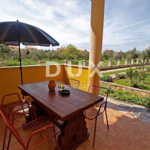 ISTRA, FAŽANA - Etaža kuće s 4 apartmana i vrtom - 500 m OD MORA!!