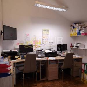 Istra, Fažana, kuća + 2 poslovna prostora + apartman