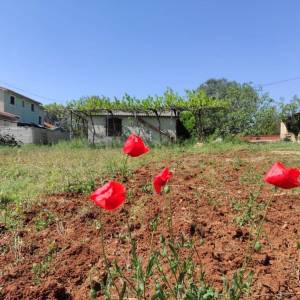 ISTRA, FAŽANA Kuća 66m2 na prostranom zemljištu!