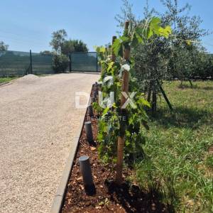 ISTRA, FAŽANA - Kuća nedaleko mora
