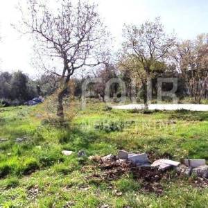 Istra, Fažana - okolica, poljoprivredno zemljište 625m2