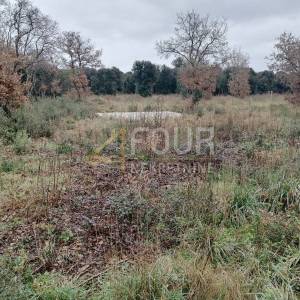 Istra, Fažana - okolica, poljoprivredno zemljište 625m2