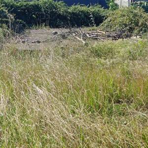 ISTRA, FAŽANA Poljoprivredno zemljište pred urbanizaciju u Valbandonu 480 m2
