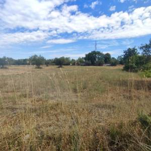 ISTRA, FAŽANA - Poljoprivredno zemljište 1289 m2
