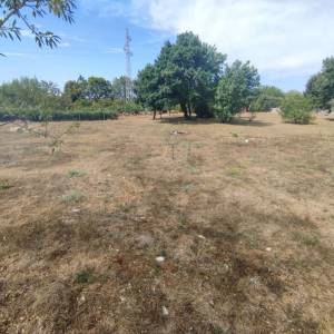 ISTRA, FAŽANA - Poljoprivredno zemljište 1289 m2