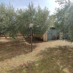 ISTRA, GALIŽANA - Dvije kamene rustikalne vile okružene prirodom