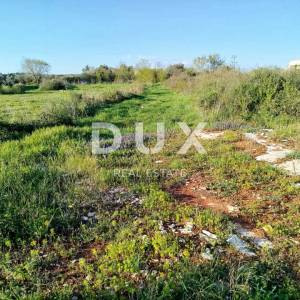 ISTRA, GALIŽANA - Poljoprivredno zemljište na rubu urbanizacije