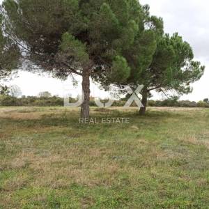 ISTRA, GALIŽANA Poljoprivredno zemljište na rubu urbanizacije 4478 m2