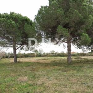 ISTRA, GALIŽANA Poljoprivredno zemljište na rubu urbanizacije 4478 m2
