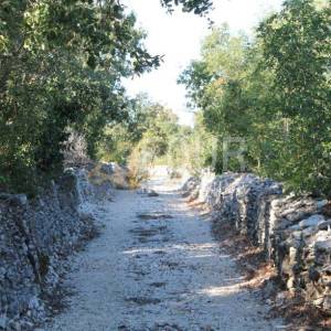 Istra, Galižana, poljoprivredno zemljište 545m2