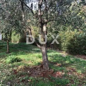 ISTRA, GLAVANI - Građevinsko zemljište 504 m2!