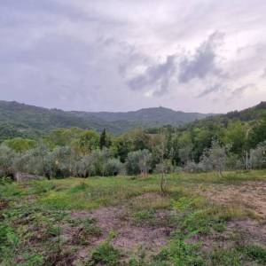 ISTRA, GRAČIŠĆE - Kameni objekti s prostranim zemljištem na osami