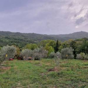 ISTRA, GRAČIŠĆE - Kameni objekti s prostranim zemljištem na osami