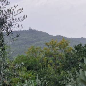 ISTRA, GRAČIŠĆE - Kameni objekti s prostranim zemljištem na osami