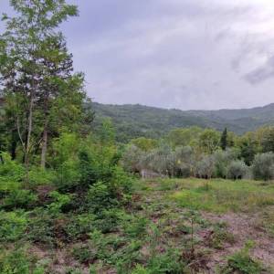 ISTRA, GRAČIŠĆE - Kameni objekti s prostranim zemljištem na osami