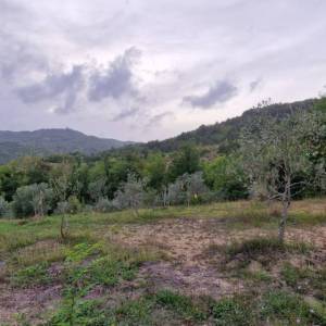 ISTRA, GRAČIŠĆE - Kameni objekti s prostranim zemljištem na osami