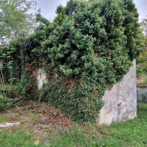 ISTRA, GRAČIŠĆE - Kameni objekti s prostranim zemljištem na osami