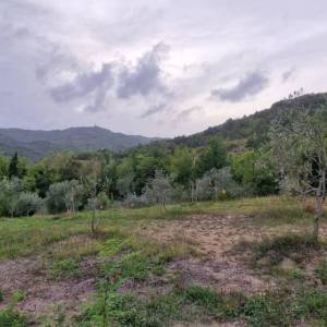 ISTRA, GRAČIŠĆE - Kameni objekti s prostranim zemljištem na osami
