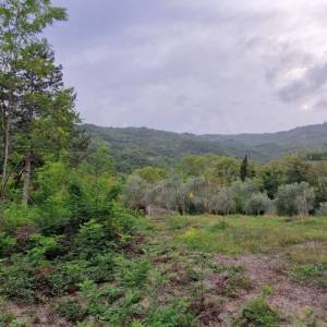 ISTRA, GRAČIŠĆE - Kameni objekti s prostranim zemljištem na osami