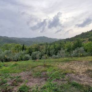 ISTRA, GRAČIŠĆE - Kameni objekti s prostranim zemljištem na osami