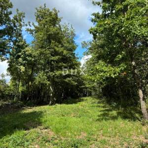 ISTRA, Gračišće ( okolica) Građevinski teren s privatnosti i puno zelenila!