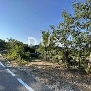 ISTRA, GRAČIŠĆE - Prekrasan maslinik s 90 maslina!