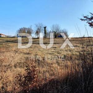 ISTRA, GRAČIŠĆE - Prostrano građevinsko zemljište 6000m2 - prilika za investitore