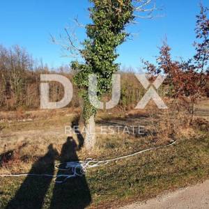 ISTRA, GRAČIŠĆE - Prostrano građevinsko zemljište 6000m2 - prilika za investitore