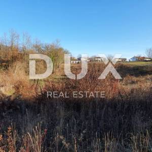 ISTRA, GRAČIŠĆE - Prostrano građevinsko zemljište 6000m2 - prilika za investitore