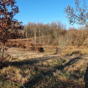ISTRA, GRAČIŠĆE - Prostrano građevinsko zemljište 6000m2 - prilika za investitore