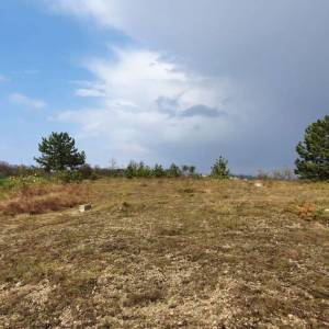 ISTRA, GRAČIŠĆE - Vinograd, maslinik, livada i šuma s prekrasnim pogledom