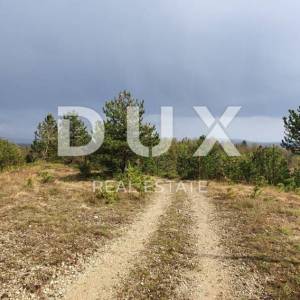 ISTRA, GRAČIŠĆE - Vinograd, maslinik, livada i šuma s prekrasnim pogledom