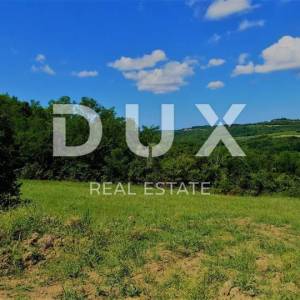 ISTRA, GROŽNJAN - Građevinsko zemljište 1237m2 sa predivnim pogledom na more