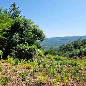 ISTRA, GROŽNJAN - Imanje s panoramskim pogledom