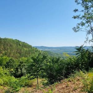 ISTRA, GROŽNJAN - Imanje s panoramskim pogledom