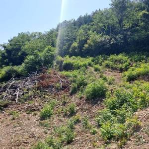 ISTRA, GROŽNJAN - Imanje s panoramskim pogledom