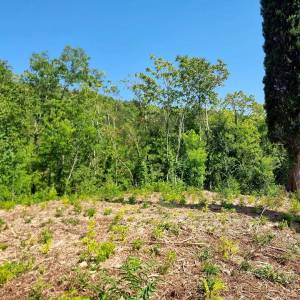 ISTRA, GROŽNJAN - Imanje s panoramskim pogledom