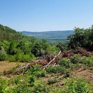 ISTRA, GROŽNJAN - Imanje s panoramskim pogledom