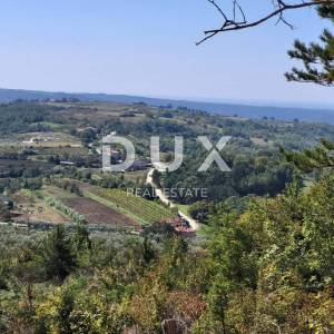 ISTRA, GROŽNJAN - Kompleks građevinskog i poljoprivrednog zemljišta s prekrasnim pogledom