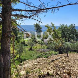 ISTRA, GROŽNJAN - Kompleks građevinskog i poljoprivrednog zemljišta s prekrasnim pogledom