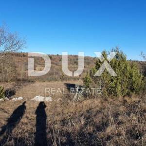 ISTRA, GROŽNJAN - Kompleks građevinskog i poljoprivrednog zemljišta panoramskog pogleda