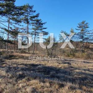 ISTRA, GROŽNJAN - Kompleks građevinskog i poljoprivrednog zemljišta panoramskog pogleda